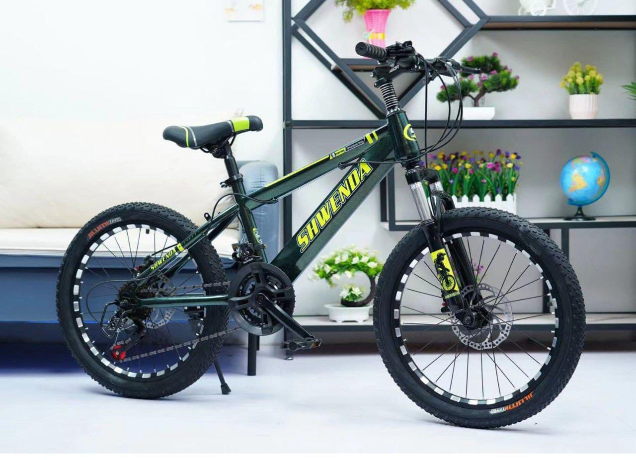 MTB sports bike 24"