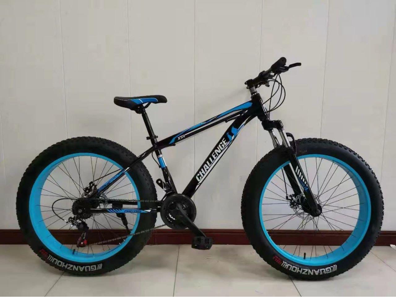 Fat Type MTB Bike