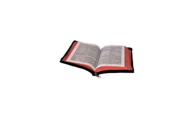Holy Bible with Zipped Case- King James Version