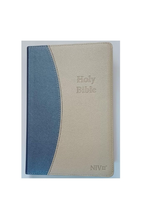 N.I.N STANDARD REFERENCE BIBLE-Blue/Cream