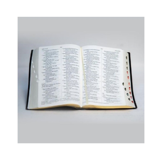New International Version Bible Giant Print