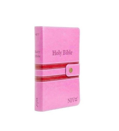 Holy Bible-NIV