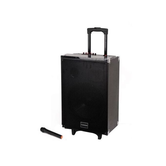 TAGWOOD Portable Bluetooth Outdoor Subwoofer Speaker with Free Wireless Microphone LTS_10A