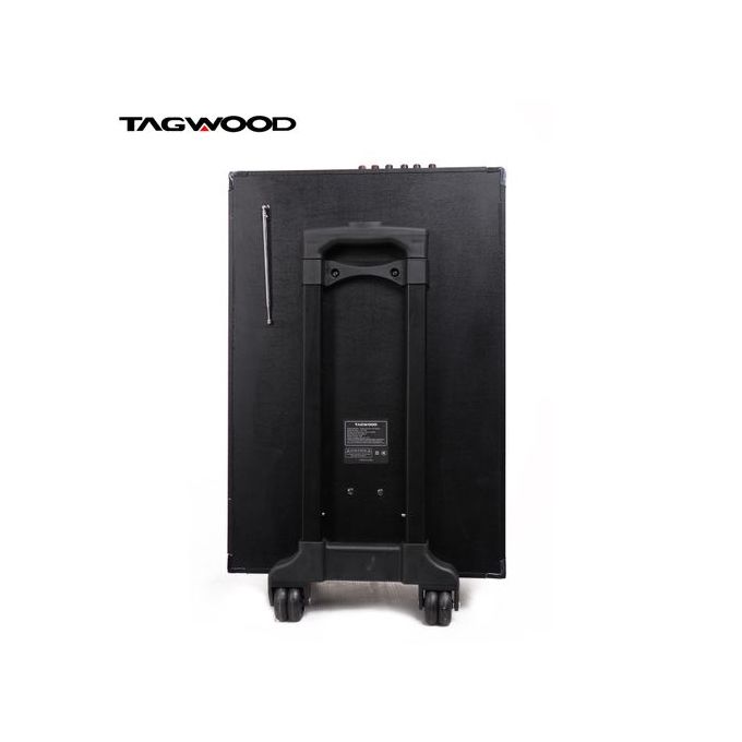 TAGWOOD 12" Outdoor Speaker, Bluetooth, Microphone, Battery - Image 3