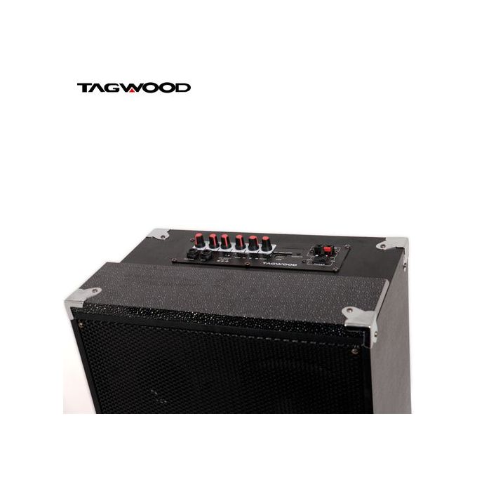TAGWOOD 12" Outdoor Speaker, Bluetooth, Microphone, Battery - Image 2