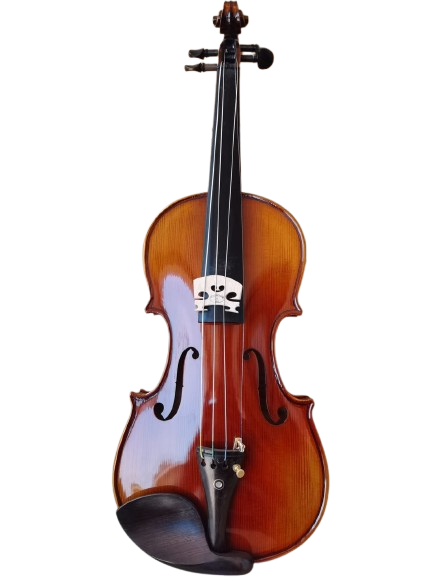 High quality European materials, hand painted professional violin.