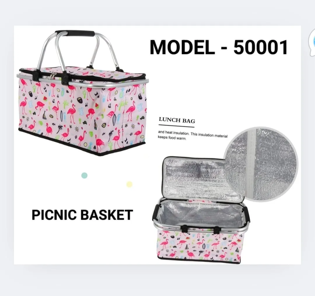 Insulated Lunch Bag - Multicoloured Camping & Picnic Cooler, Waterproof, Lightweight, Easy Carry